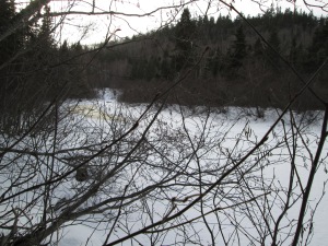 The not quite frozen Bonney River